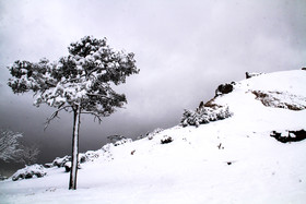 بارش برف در کرمان